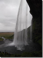 DSCF7516